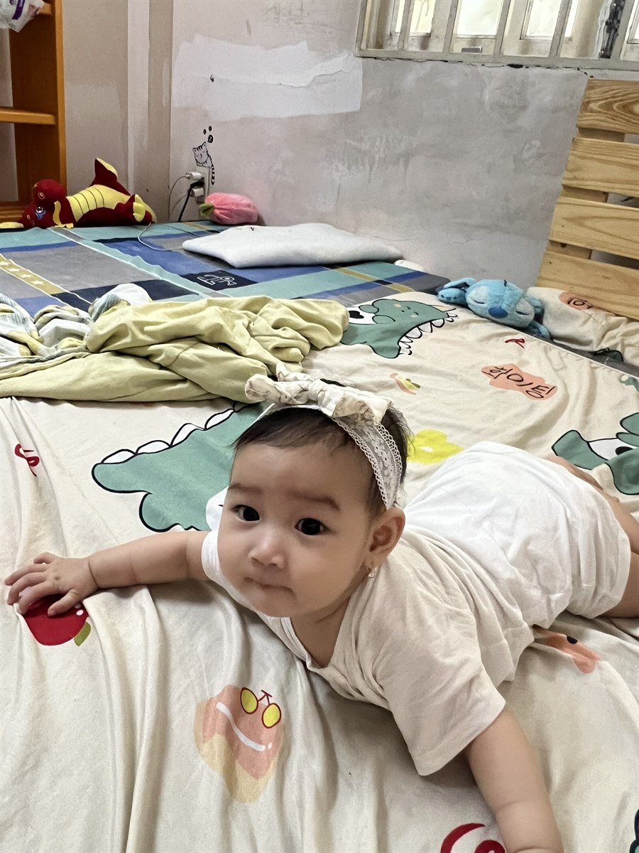 Bò đi tìm cả thế giới nhỏ